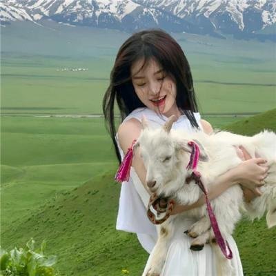 杨七郎威震神州擂